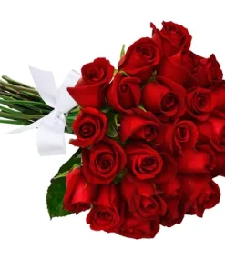 Buquê de 24 Rosas Vermelhas