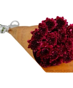 Buquê Partitura de Pinóquio Marsala